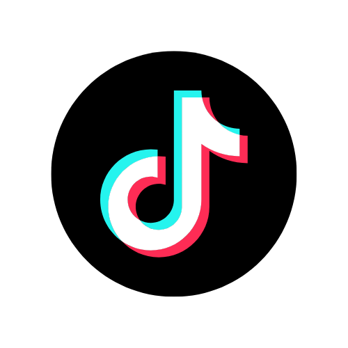 tiktok icon