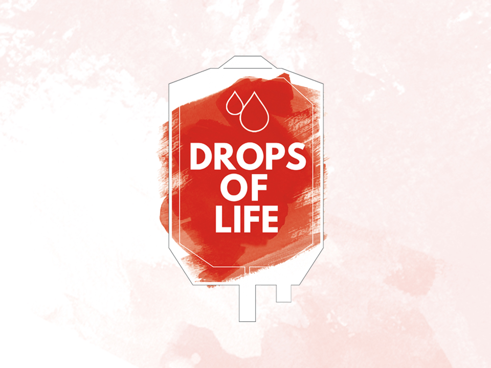 DOL HOLDING SLIDE 2018 960X720